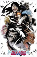 Bleach 27